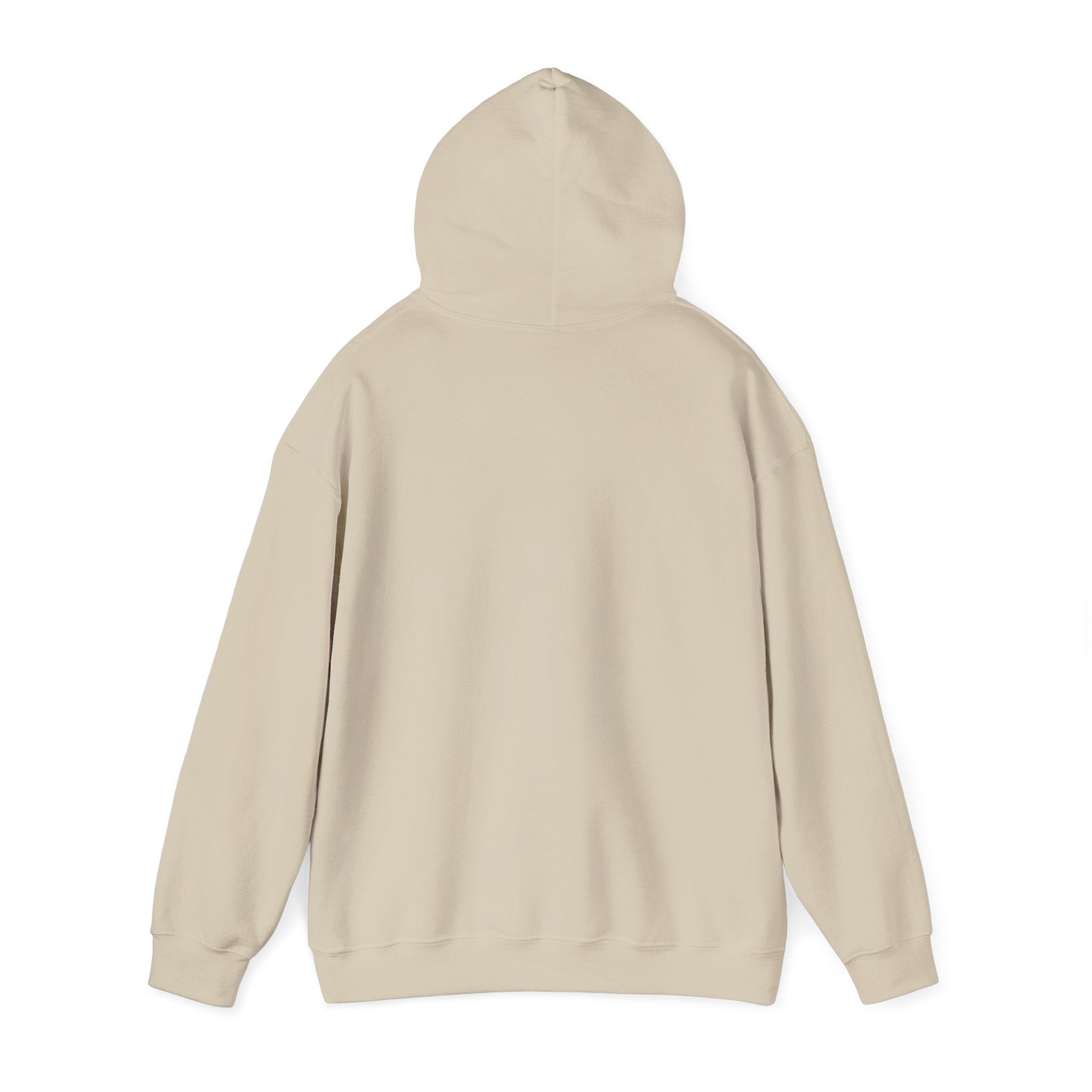 Everything I am Pullover Hoodie