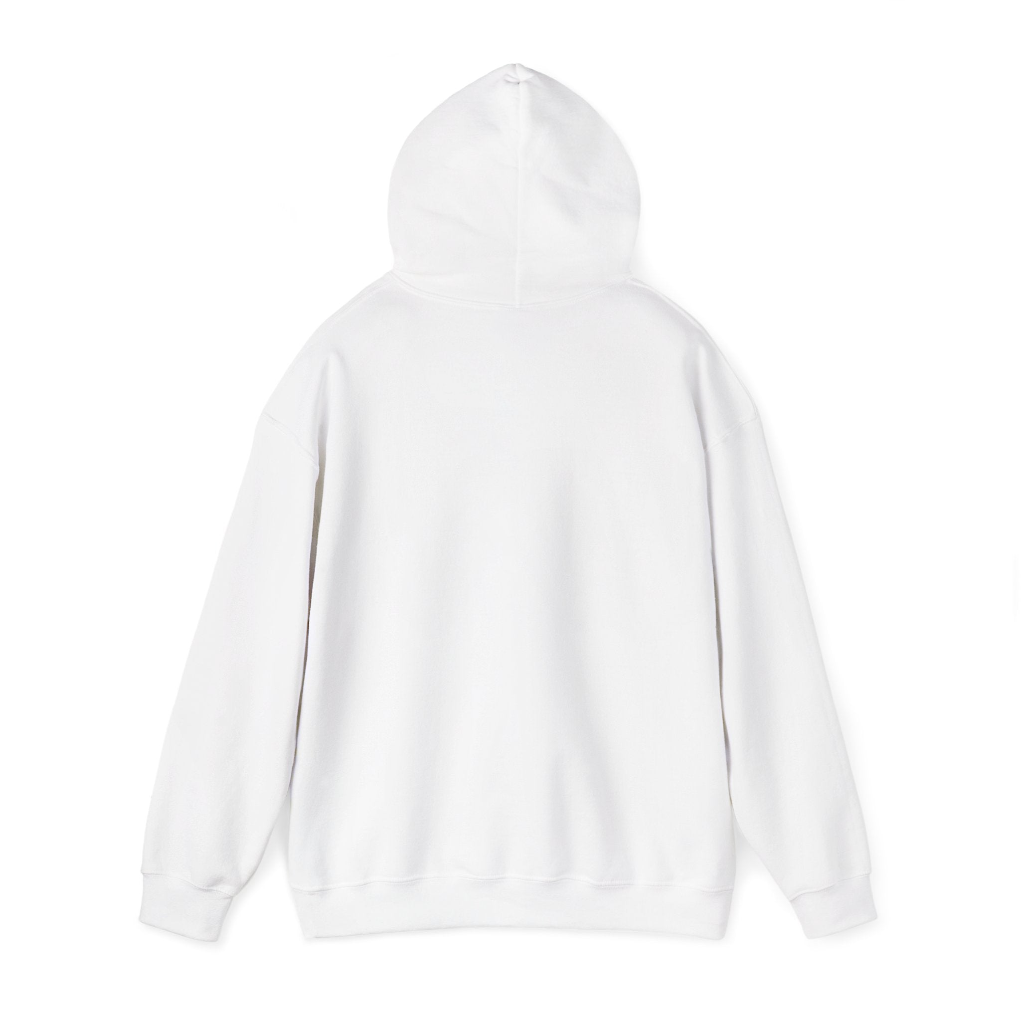 Everything I am Pullover Hoodie