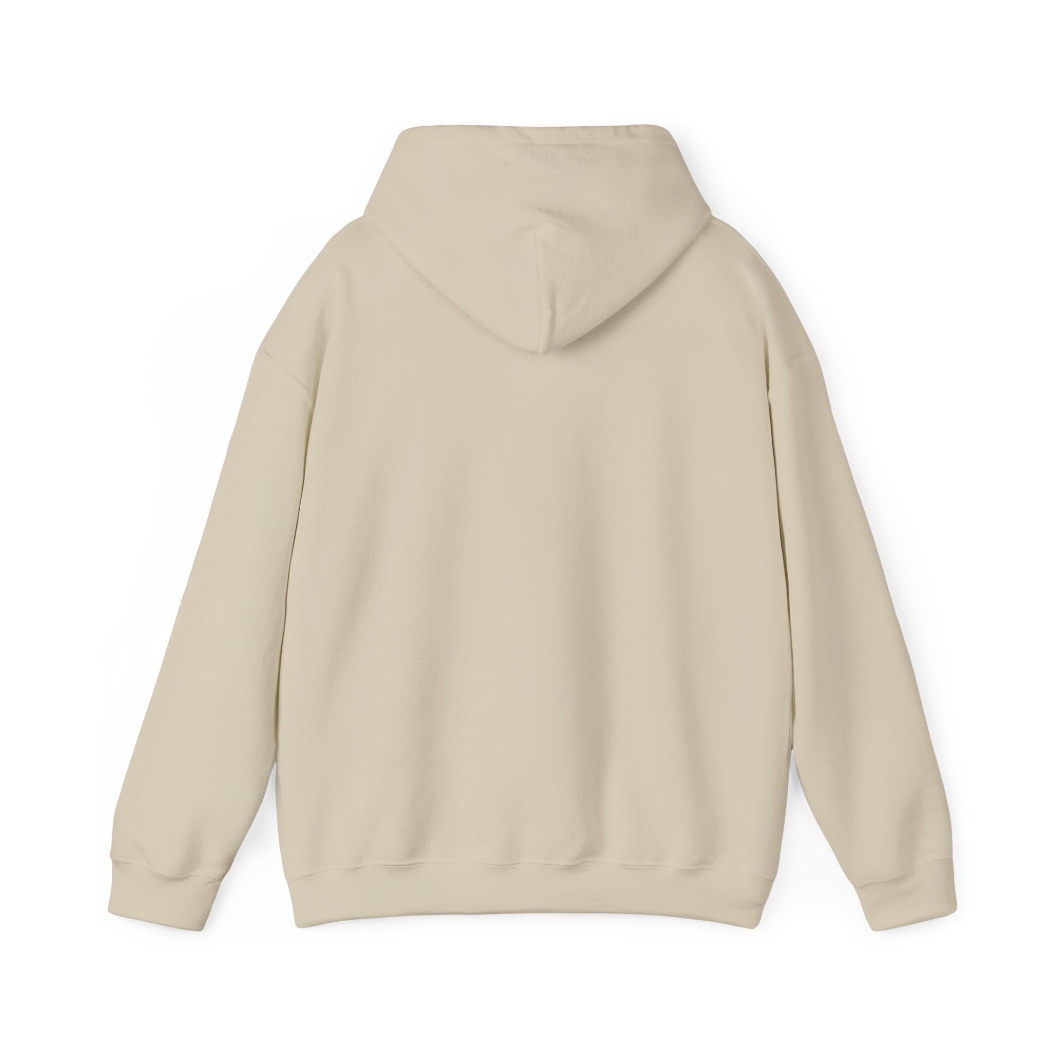 Everything I am Pullover Hoodie