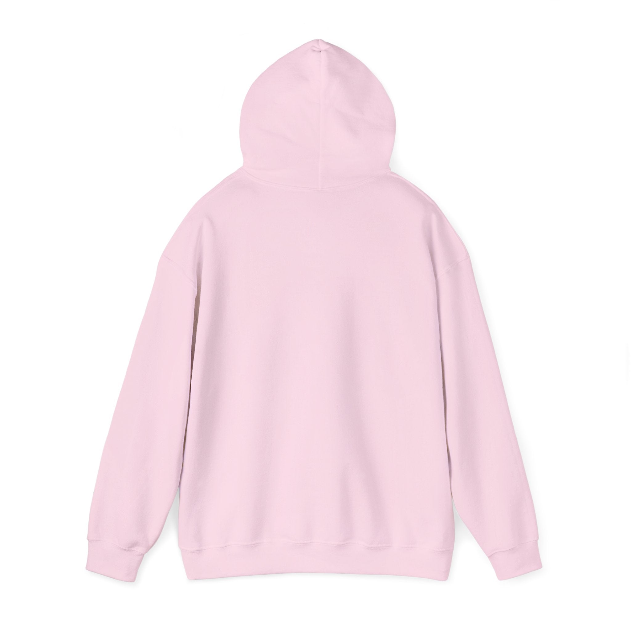 Everything I am Pullover Hoodie