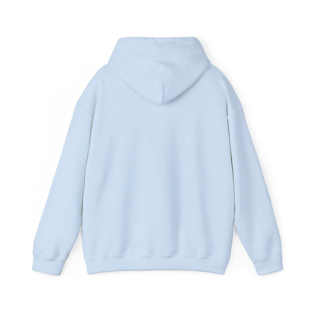 Everything I am Pullover Hoodie