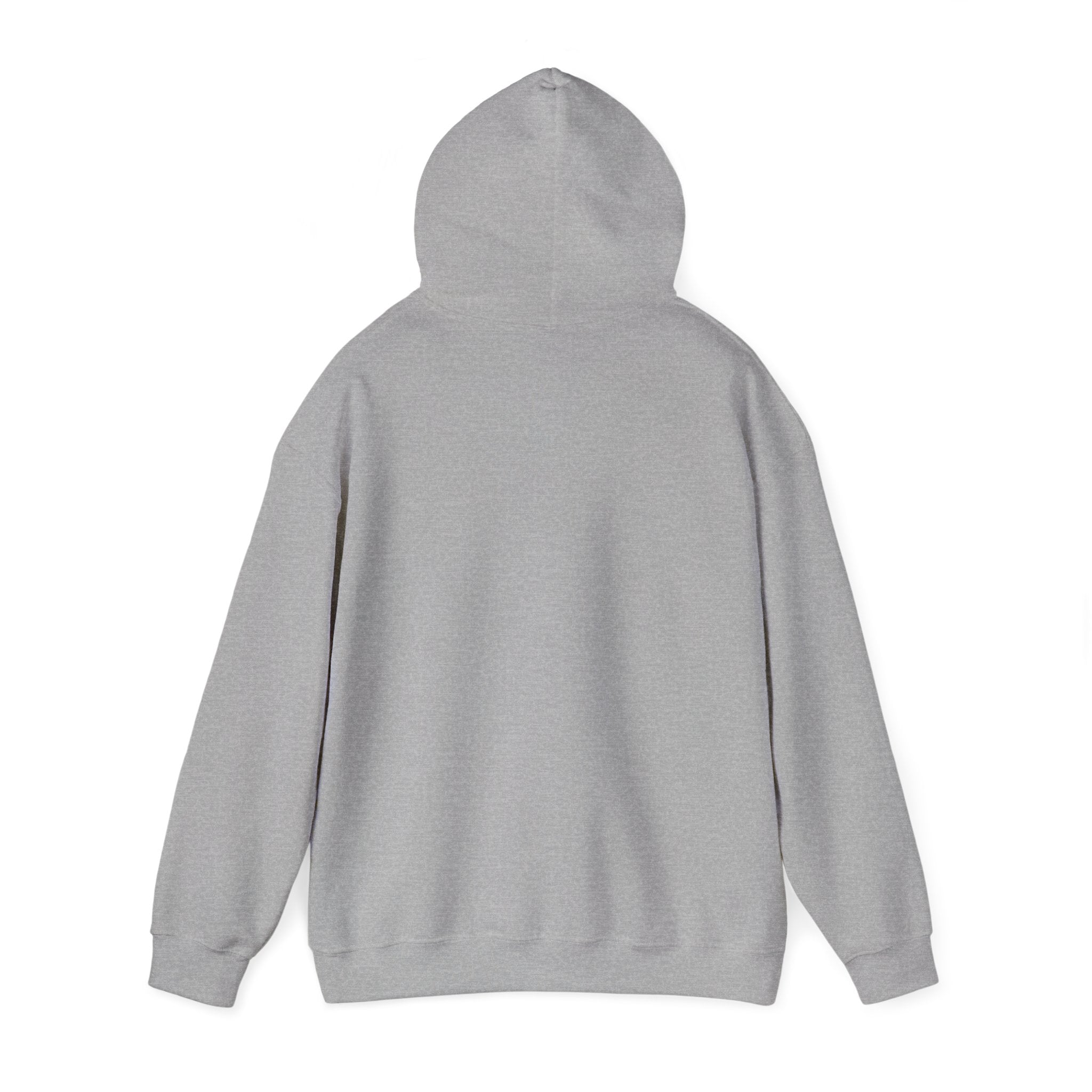 Everything I am Pullover Hoodie