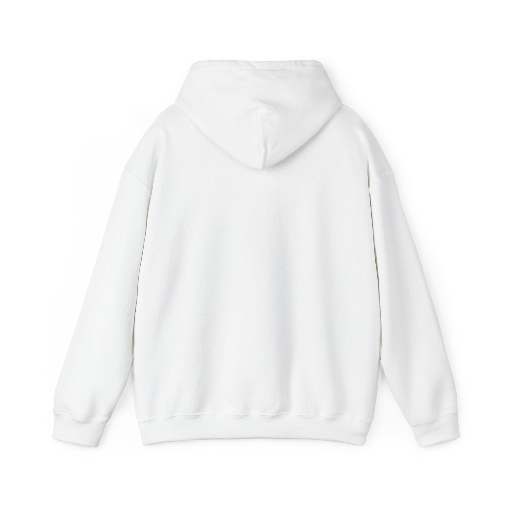 Everything I am Pullover Hoodie