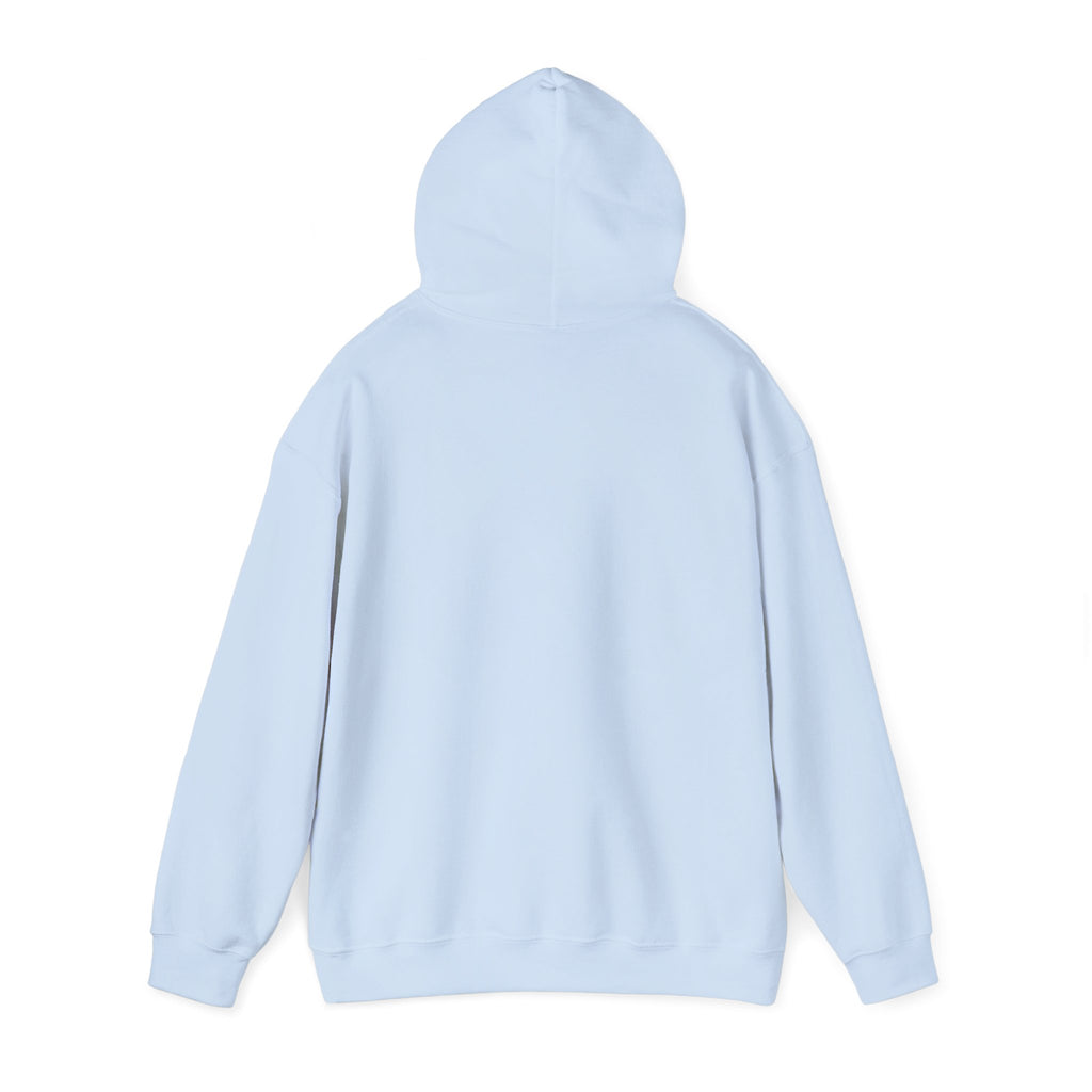 Everything I am Pullover Hoodie