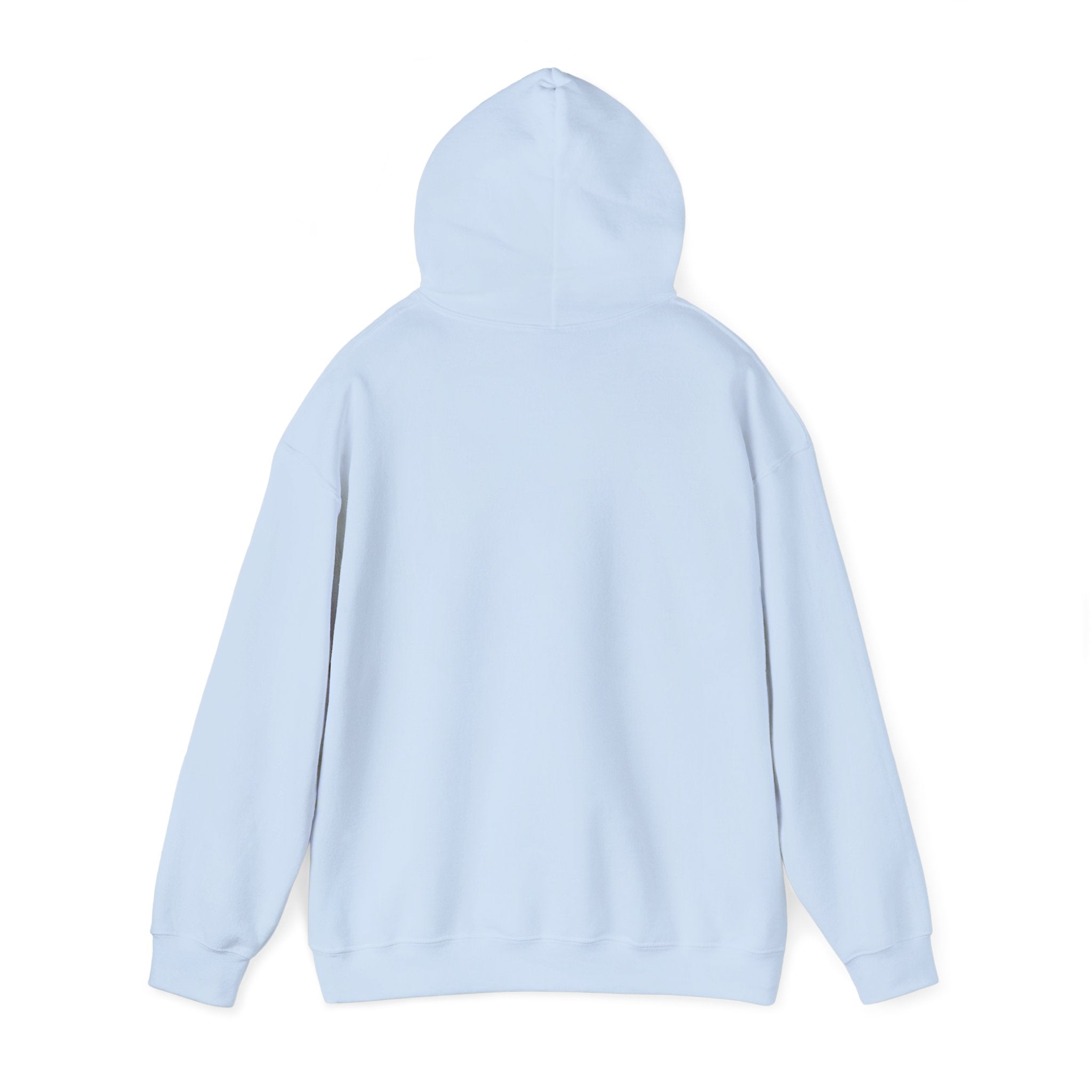 Everything I am Pullover Hoodie